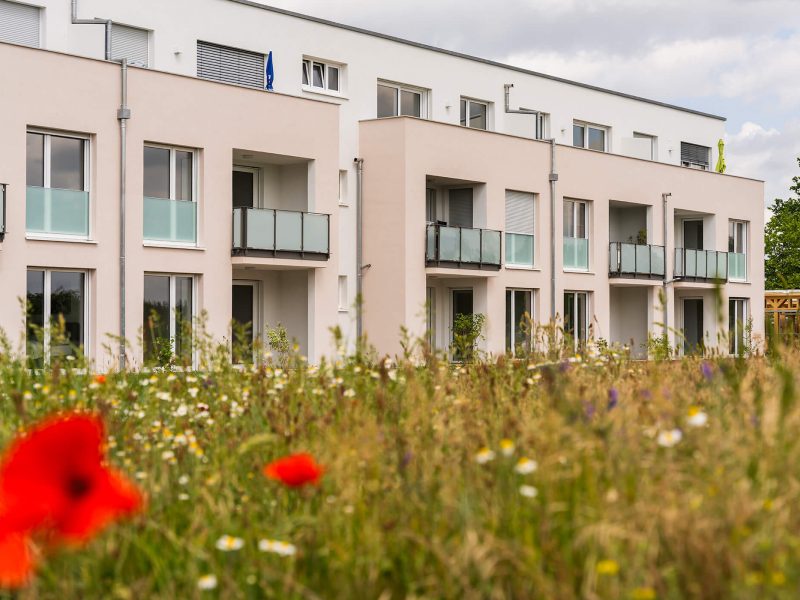 Außenansicht mit Blumenwiese