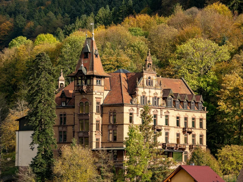 Das Rothschild_Nordrach Wohnungen zu kaufen