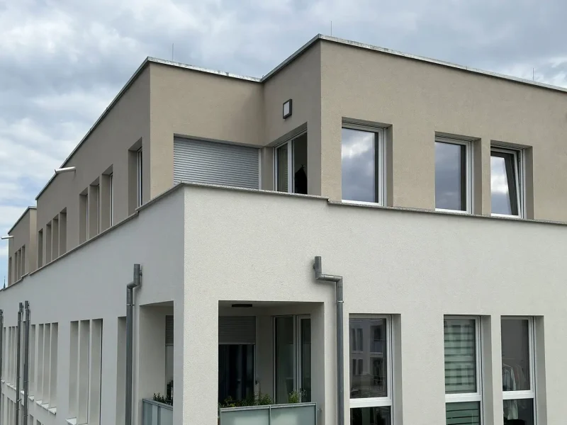 Oase_Außenanlage_11 Kopie