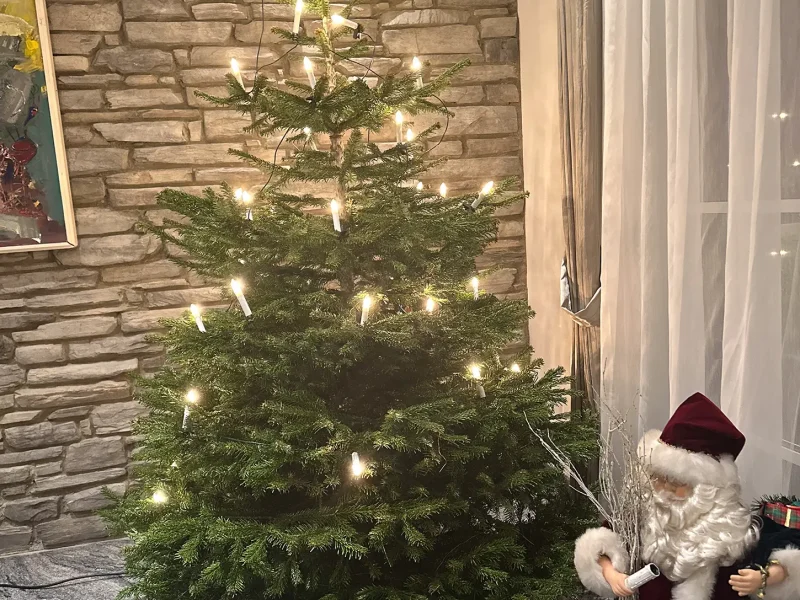 Weihnachtsbaum im Partyhaus Damm