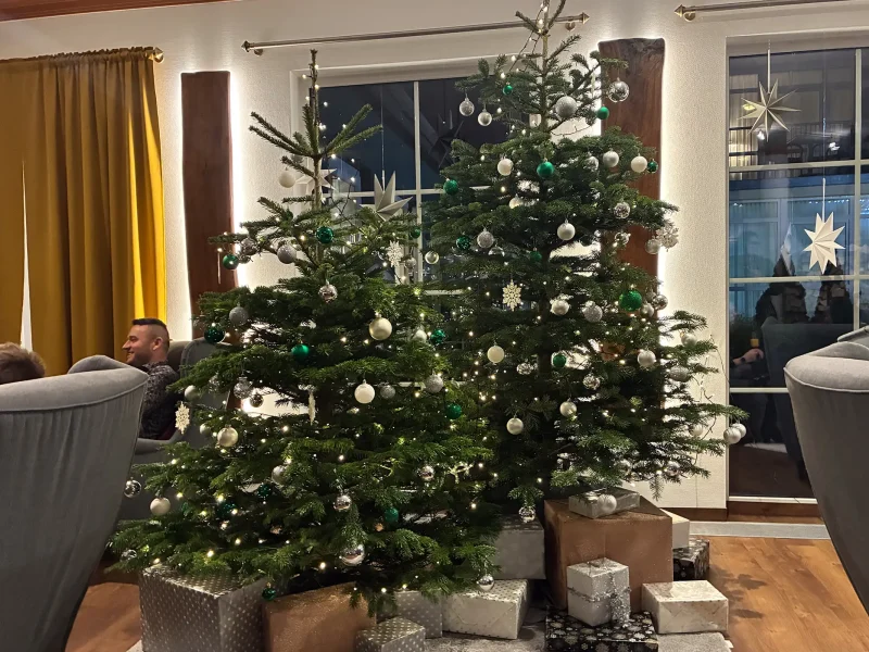 Zwei festlich geschmückte Weihnachtsbäume mit Geschenken darunter im Schwarzwaldhotel Gengenbach