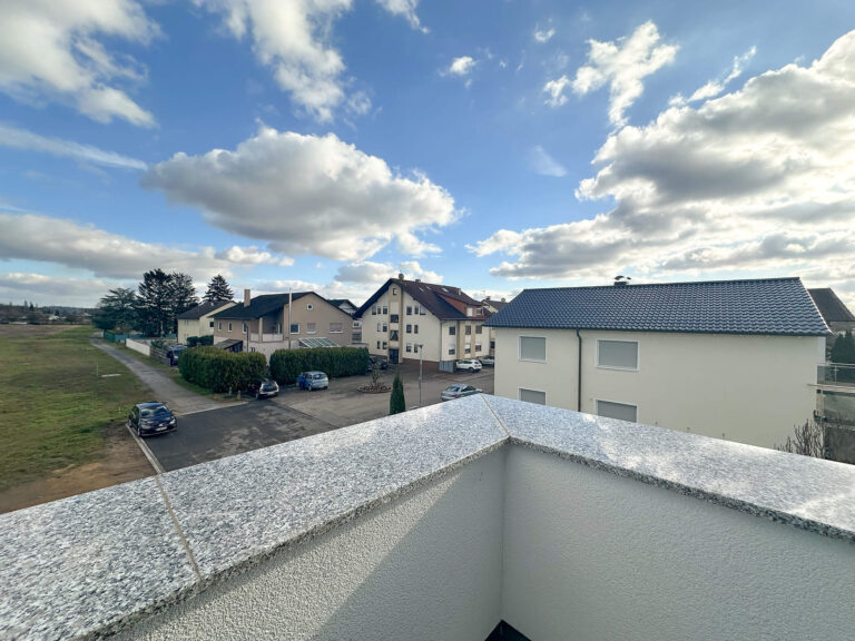 20250131_W33_Blick von der Dachterasse_website